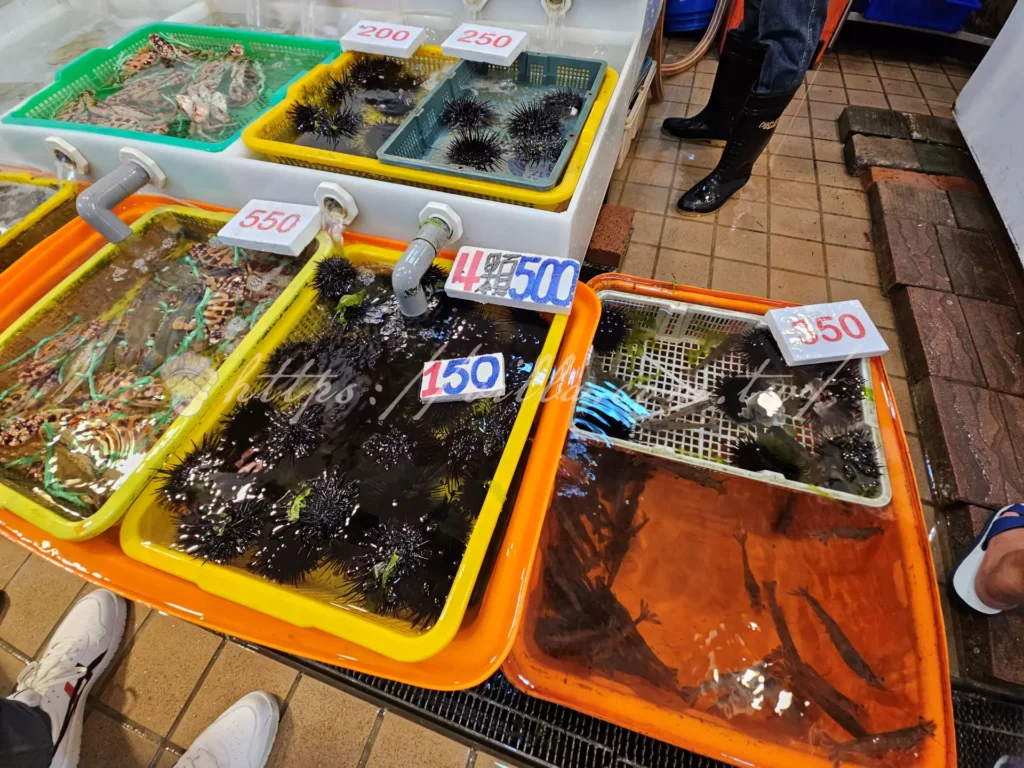 萬里龜吼漁夫市集改建怎麼逛?價格環境與停車一次看