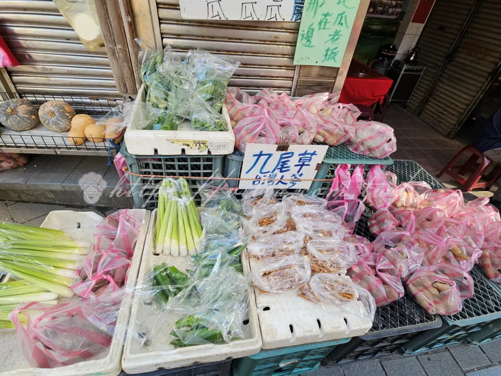 金山老街怎麼玩?交通、停車、美食、伴手一次看