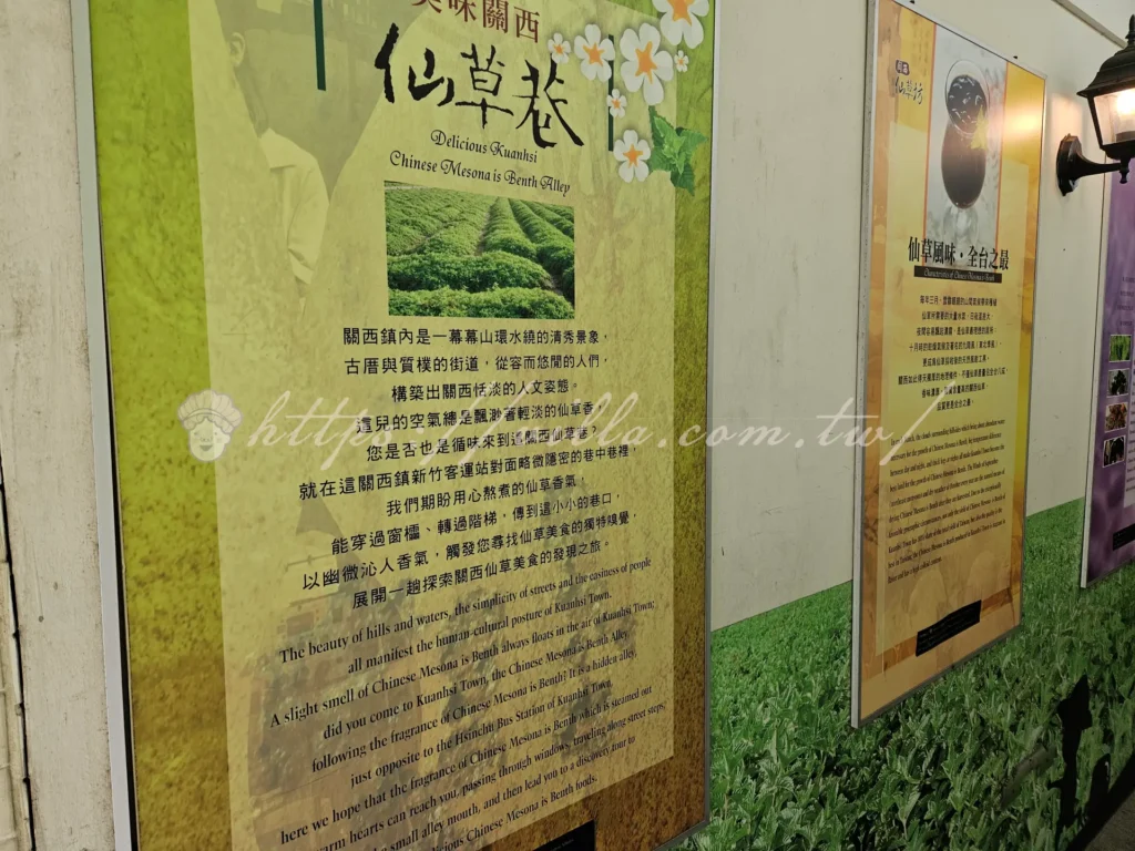 新竹關西仙草巷|仙草凍膠質丁,在地人激推必吃冰品!