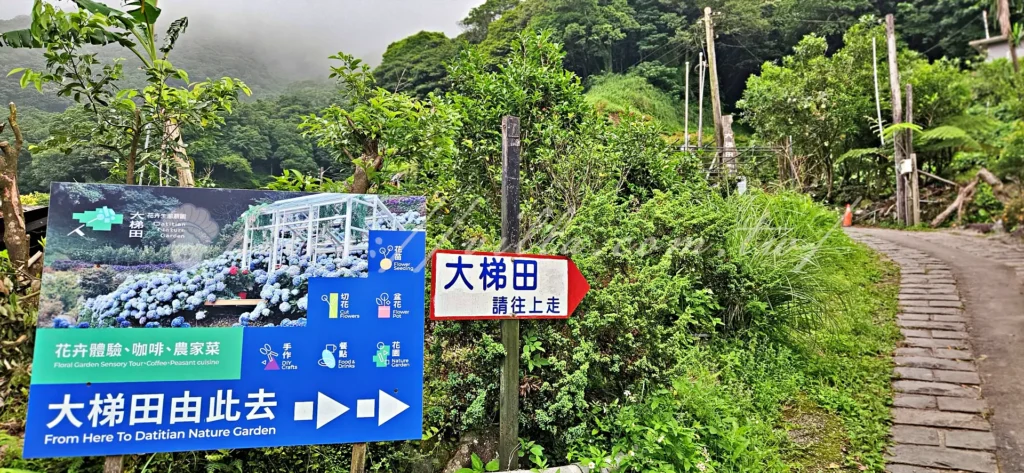 陽明山_竹子湖繡球花季_大梯田花卉生態農園