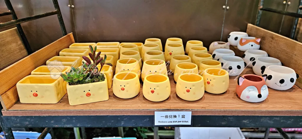 陽明山_竹子湖繡球花季_大梯田花卉生態農園_門票兌換小花瓶