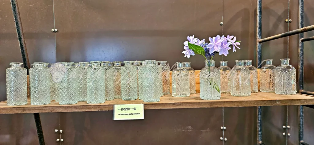 陽明山_竹子湖繡球花季_大梯田花卉生態農園_門票兌換小花瓶