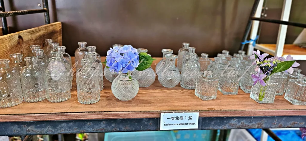 陽明山_竹子湖繡球花季_大梯田花卉生態農園_門票兌換小花瓶