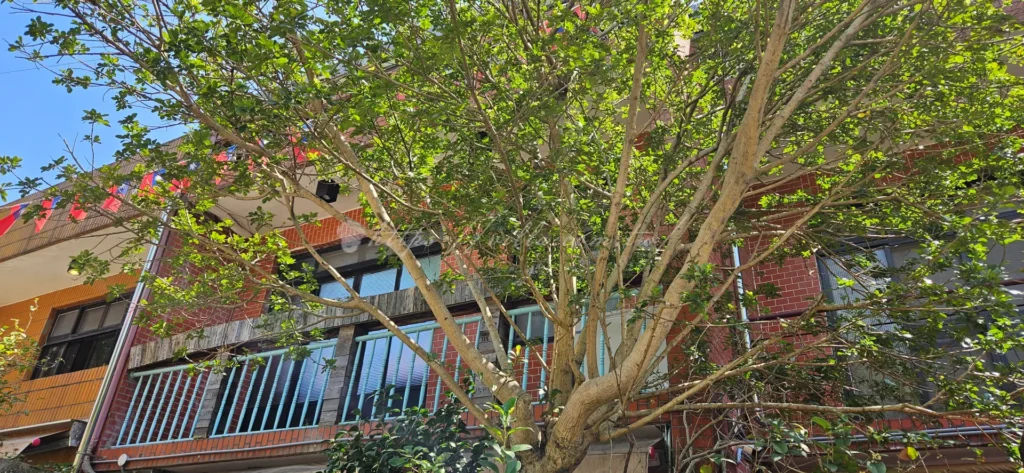 新北眷村文化園區紅磚老房與復古窗格，懷舊打卡拍照景點