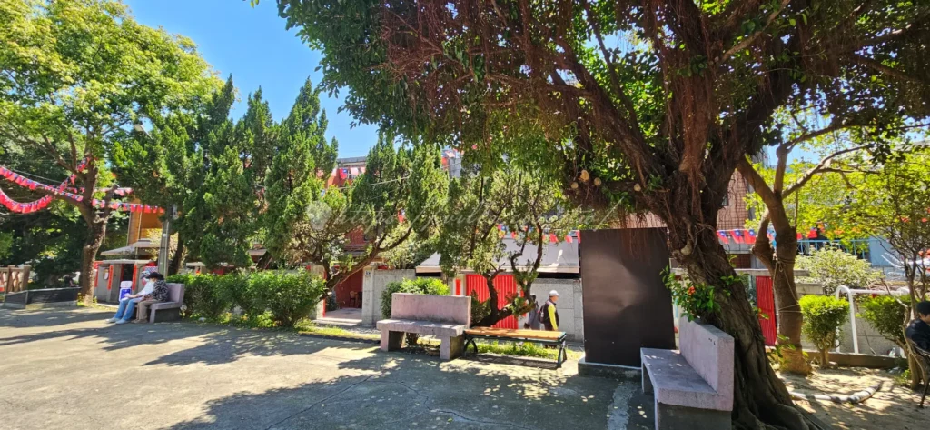 空軍三重一村的老榕樹廣場景點，陽光穿透樹蔭灑在木質休憩區，呈現出早期眷村鄰里在大樹下悠閒聊天、乘涼的溫馨懷舊氛圍。