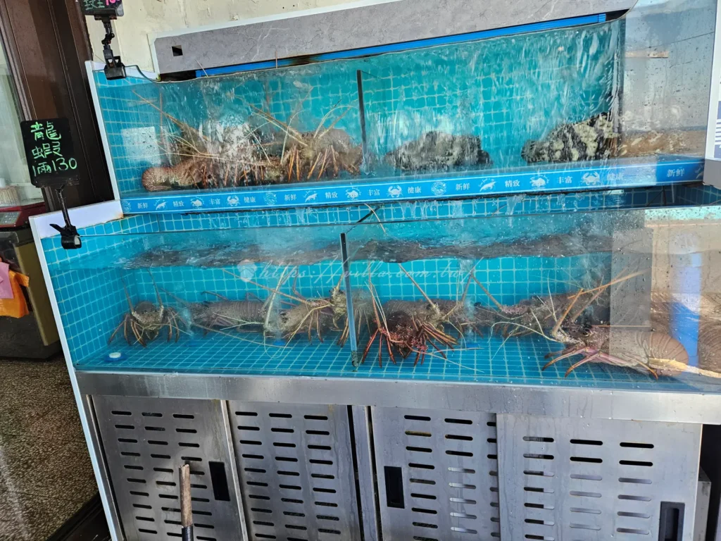 嗨九蒸鮮小吃的背後其實很有故事，老闆本身就是馬崗漁村的在地子弟，家裡經營漁船，擁有第一手的現撈海產優勢。