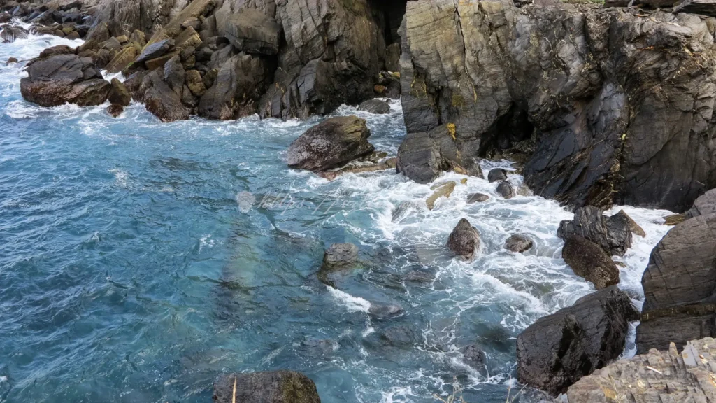 宜蘭豆腐岬清澈見底的海水-肉眼可見熱帶魚穿梭珊瑚礁-媲美沖繩的清透水質