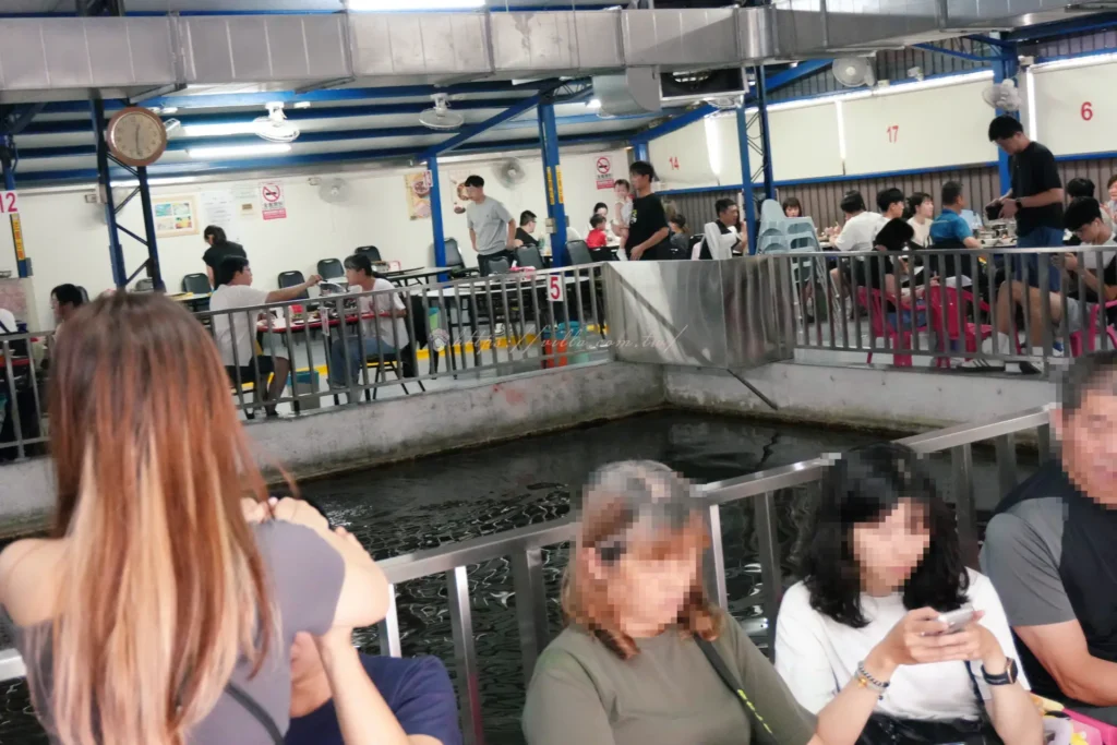 長興釣蝦場內部環境,錦鯉水池與環繞座位區