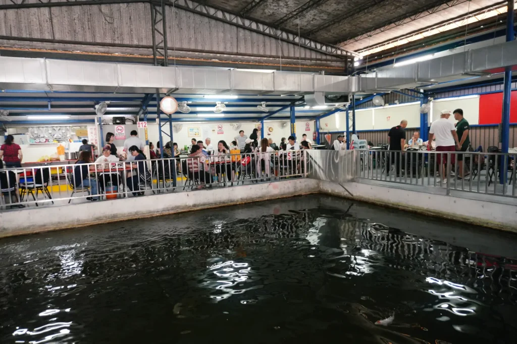 長興釣蝦場內部環境,錦鯉水池與環繞座位區