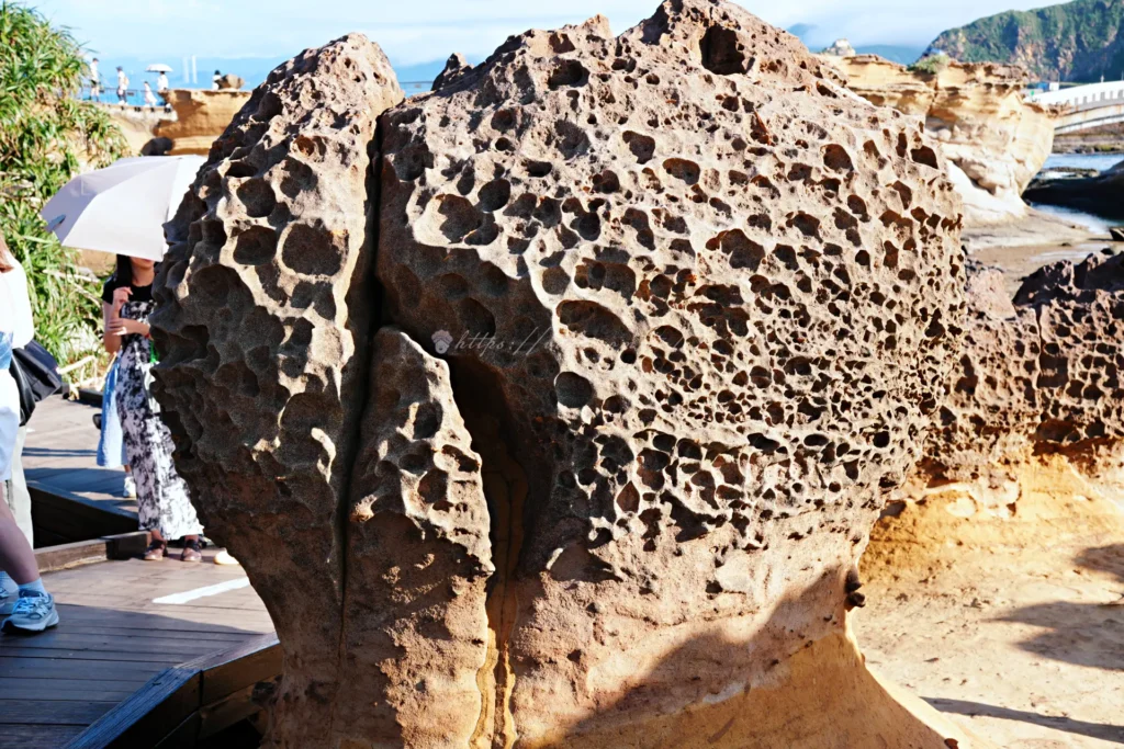 野柳地質公園的大型蜂窩岩與遊客
