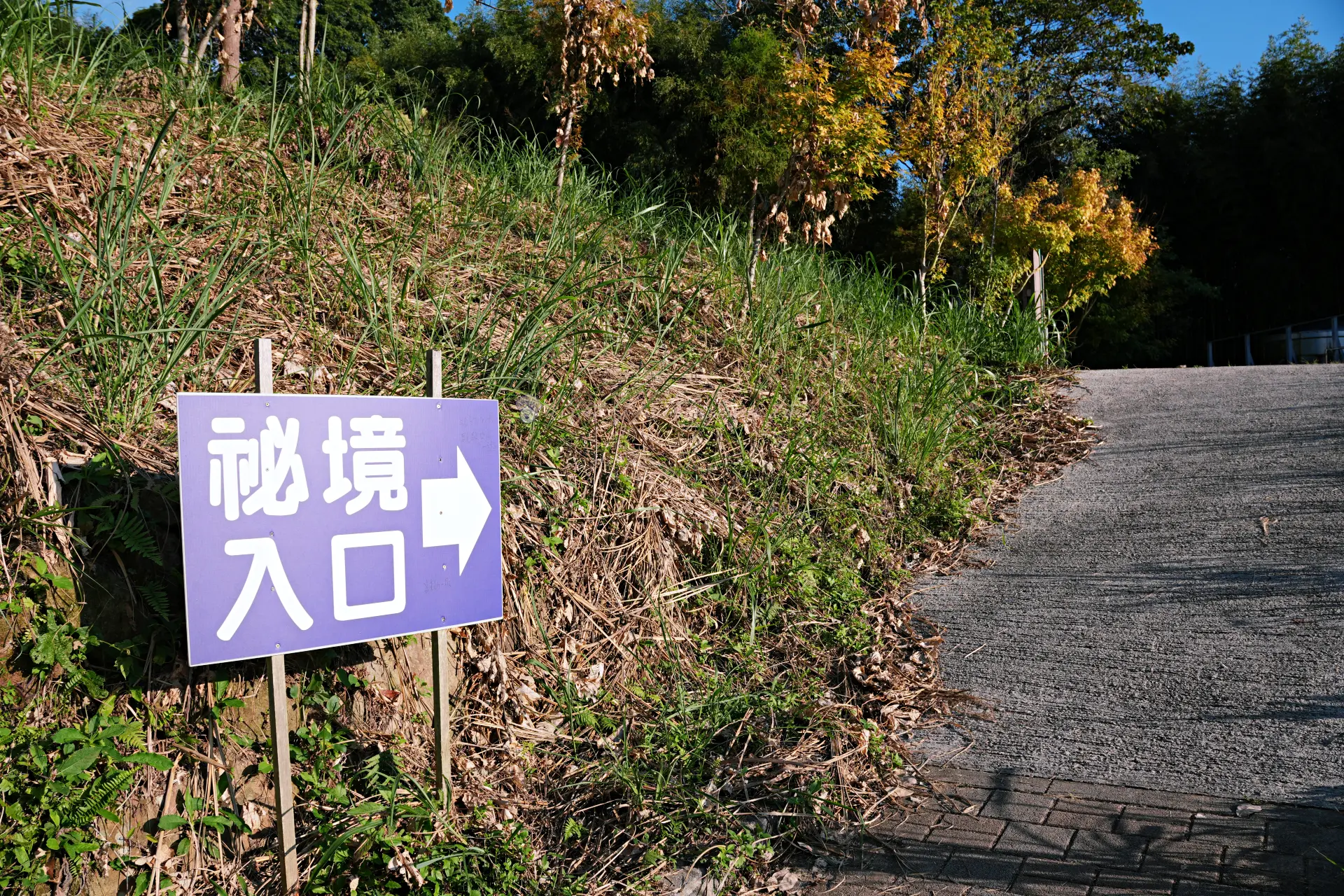 路邊紫色祕境入口指標,箭頭指向往竹林的上坡路