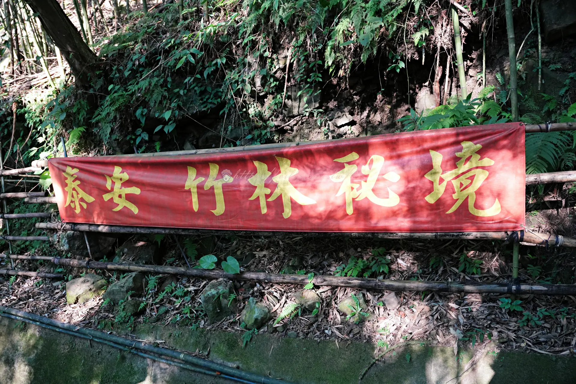 竹欄上掛著紅底黃字的泰安竹林秘境布條