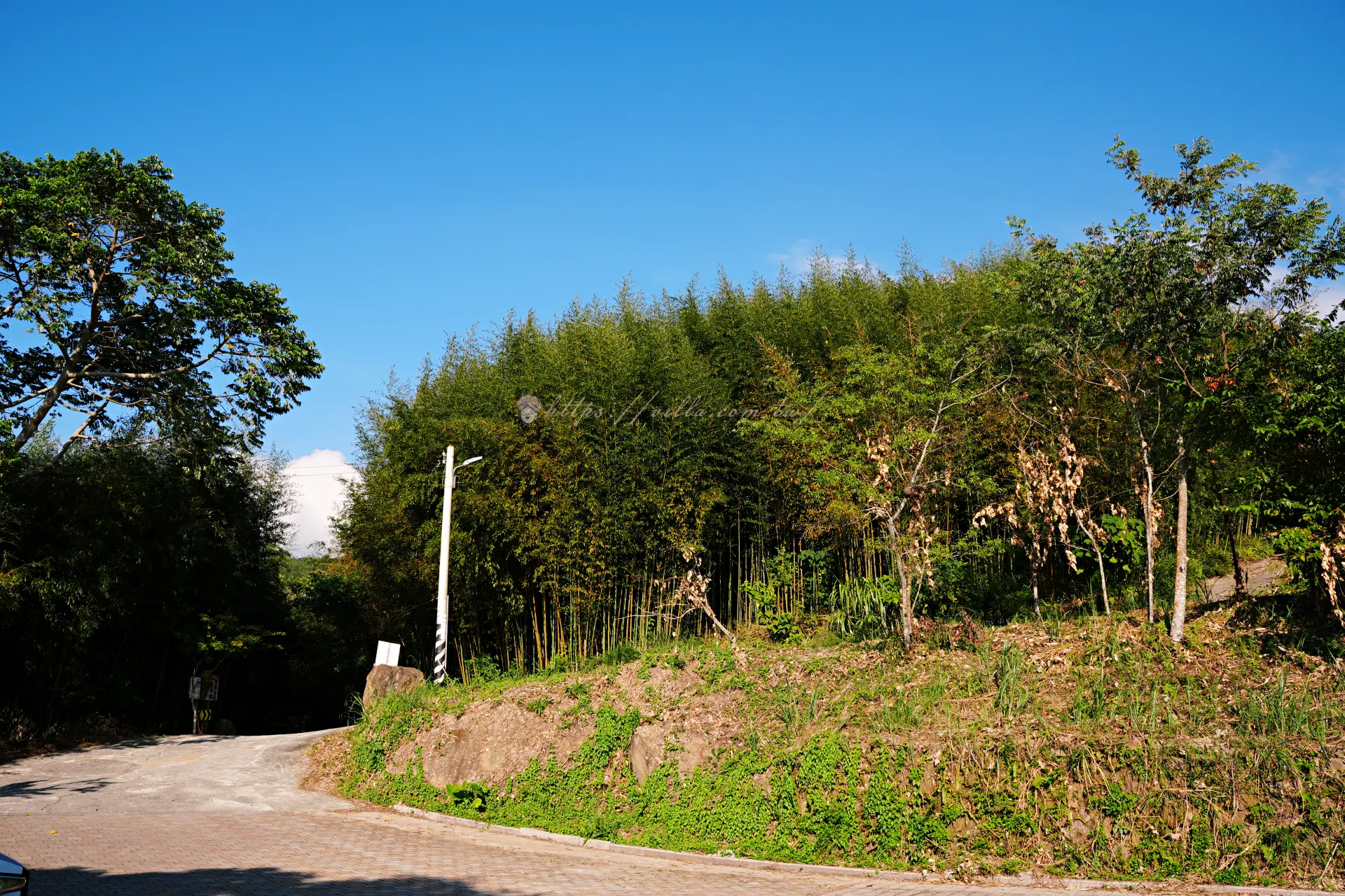 往烏嘎彥竹林的山區產業道路,路旁是竹林與綠色山坡