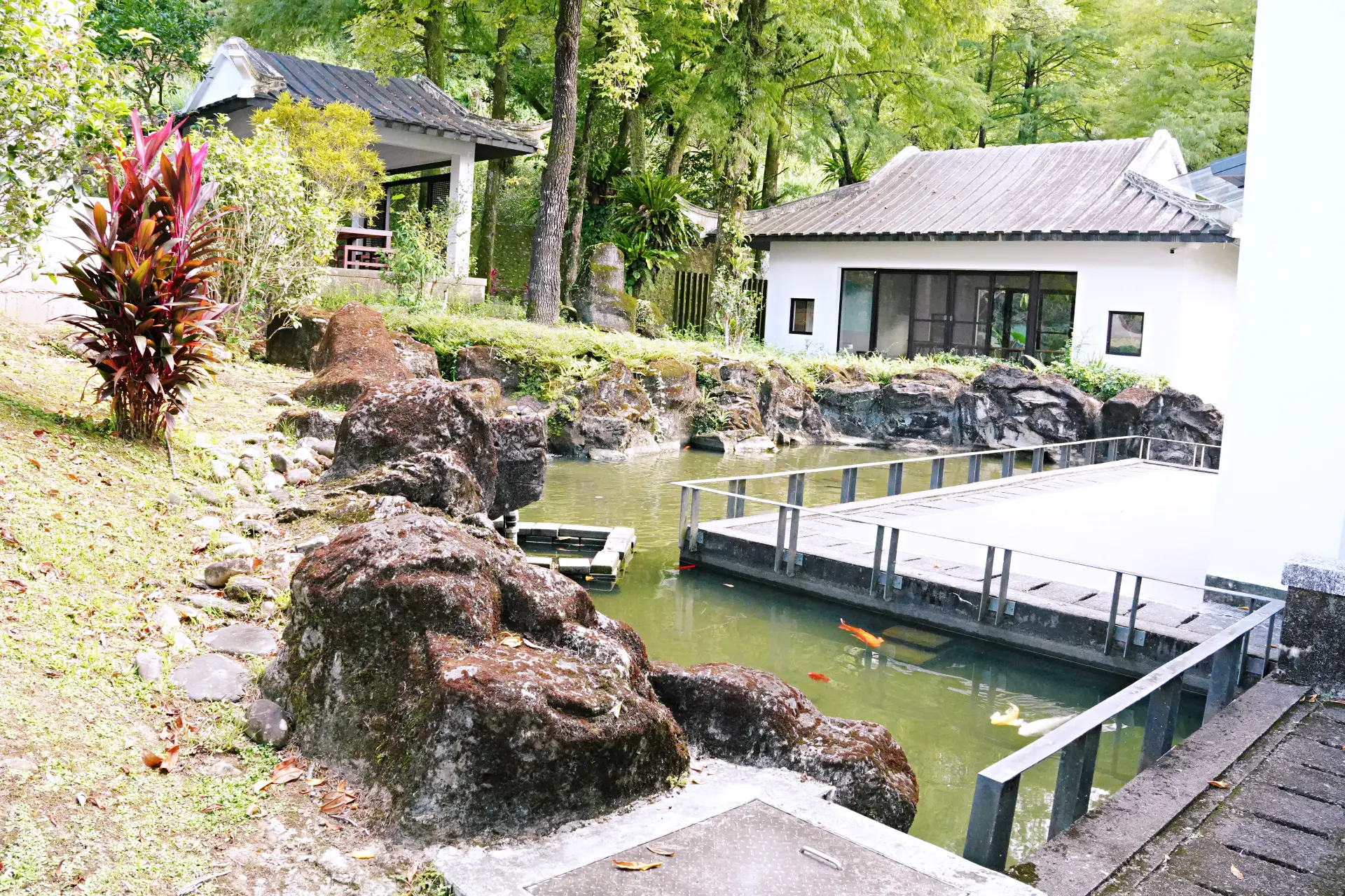 坪林茶業博物館的江南風庭園與水池