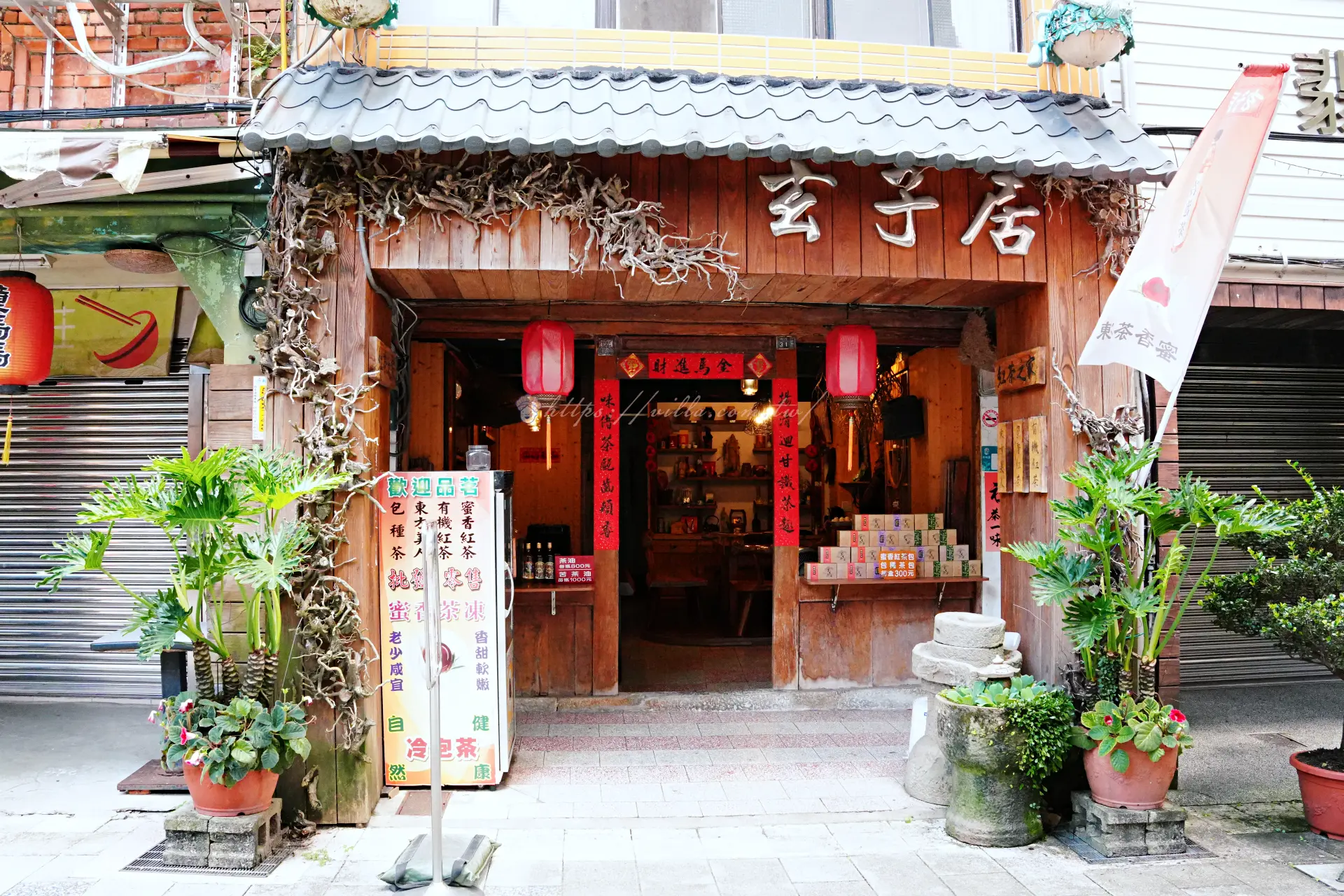 坪林老街掛著紅燈籠、門口擺滿盆栽的老茶莊