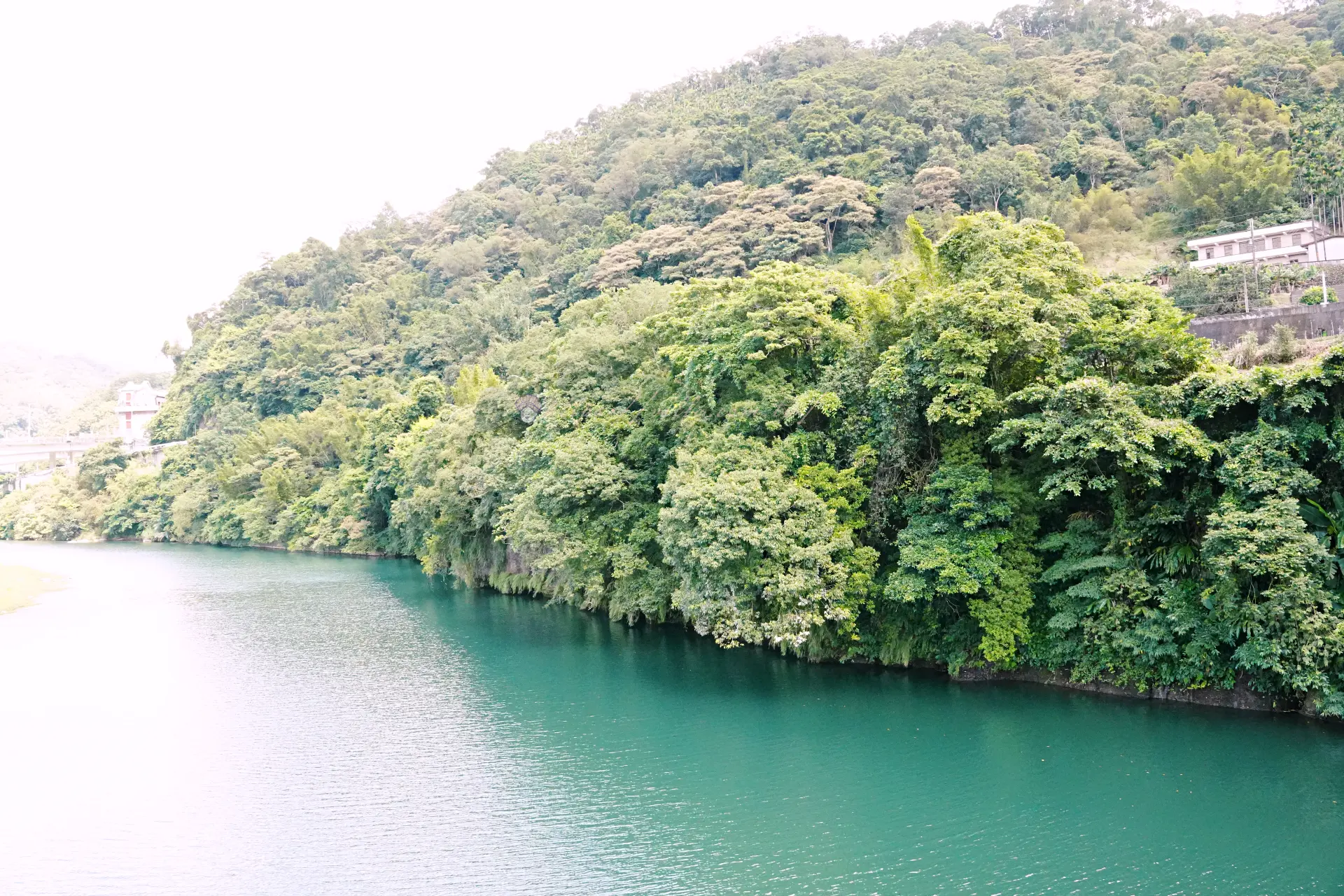 坪林北勢溪碧綠溪水與茂密山林